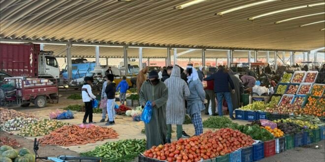أسواق زاكورة الأسبوعية: جودة غائبة، تنوع مفقود، وأسعار “كاوية” تلهب جيوب المواطنين