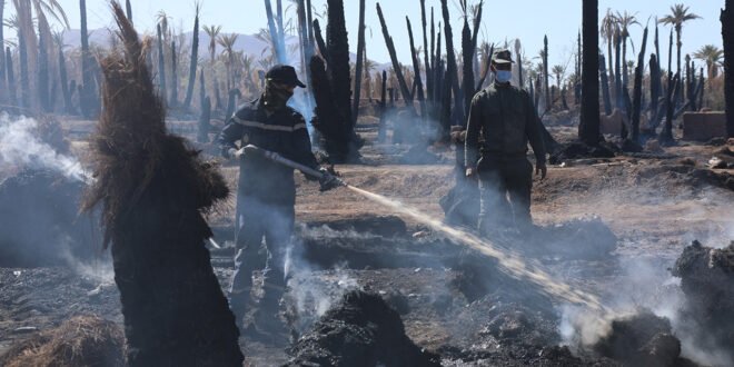 حريق تسركات زاكورة.. عناصر الوقاية المدنية تواصل جهود الإخماد