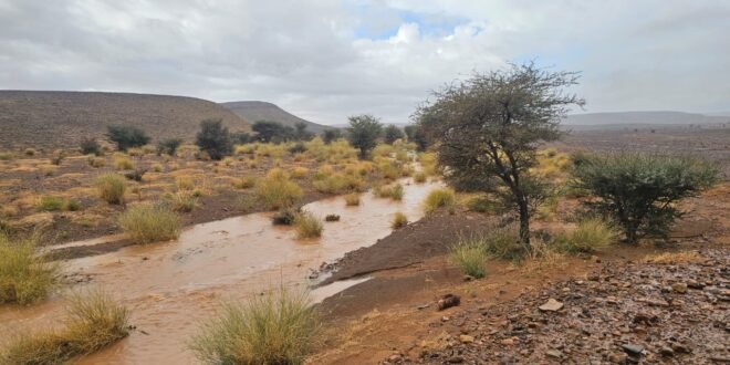 التساقطات المطرية بزاكورة.. ثروة تائهة في الرمال ومطالب شعبية بإجراءات مستعجلة