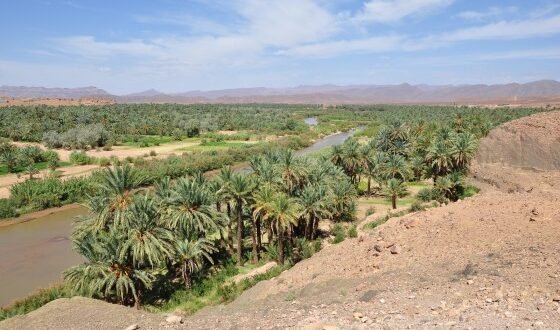 وادي درعة يلفظ جثة مجهولة.. لغز “الأربعيني الغريب” يثير الاستنفار بزاكورة