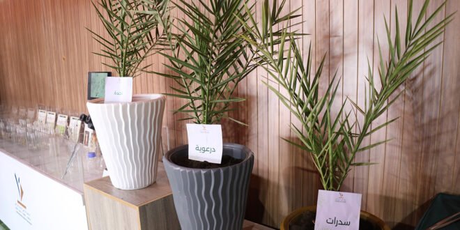 لأول مرة: تحويل محطة “النبش” بزاكورة إلى ضيعة رقمية ذكية.