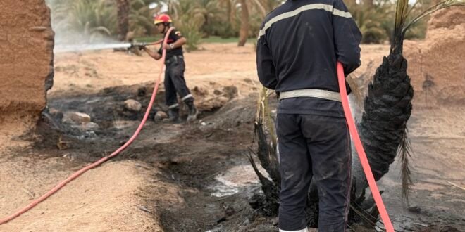 تحيين:حريق واحة زاكورة يلتهم 400 نخلة والسلطات تسابق الزمن لمحاصرة النيران