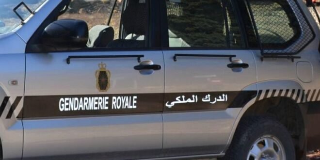 الدرك الملكي بورزازات يحبط تهريب مواد غذائية فاسدة