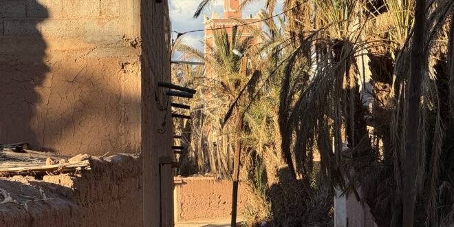 فرصة جديدة للشباب والتعاونيات: إطلاق طلبات عروض مشاريع واحات زاكورة 2026