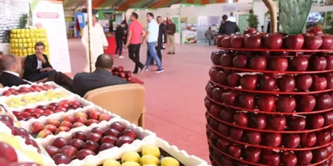ميدلت تحتضن الدورة السادسة للملتقى الوطني للتفاح لتعزيز التنمية الجبلية