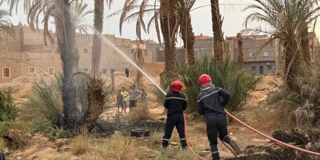 استنفار لحصار حرائق واحة زاكورة بمنطقة أسرير المشان