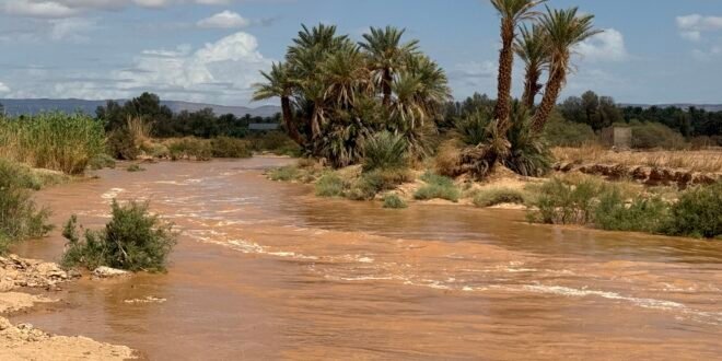 سيول ضائعة وأراضٍ عطشى: فلاحو زاكورة يطالبون بالإسراع في بناء السدود المائية